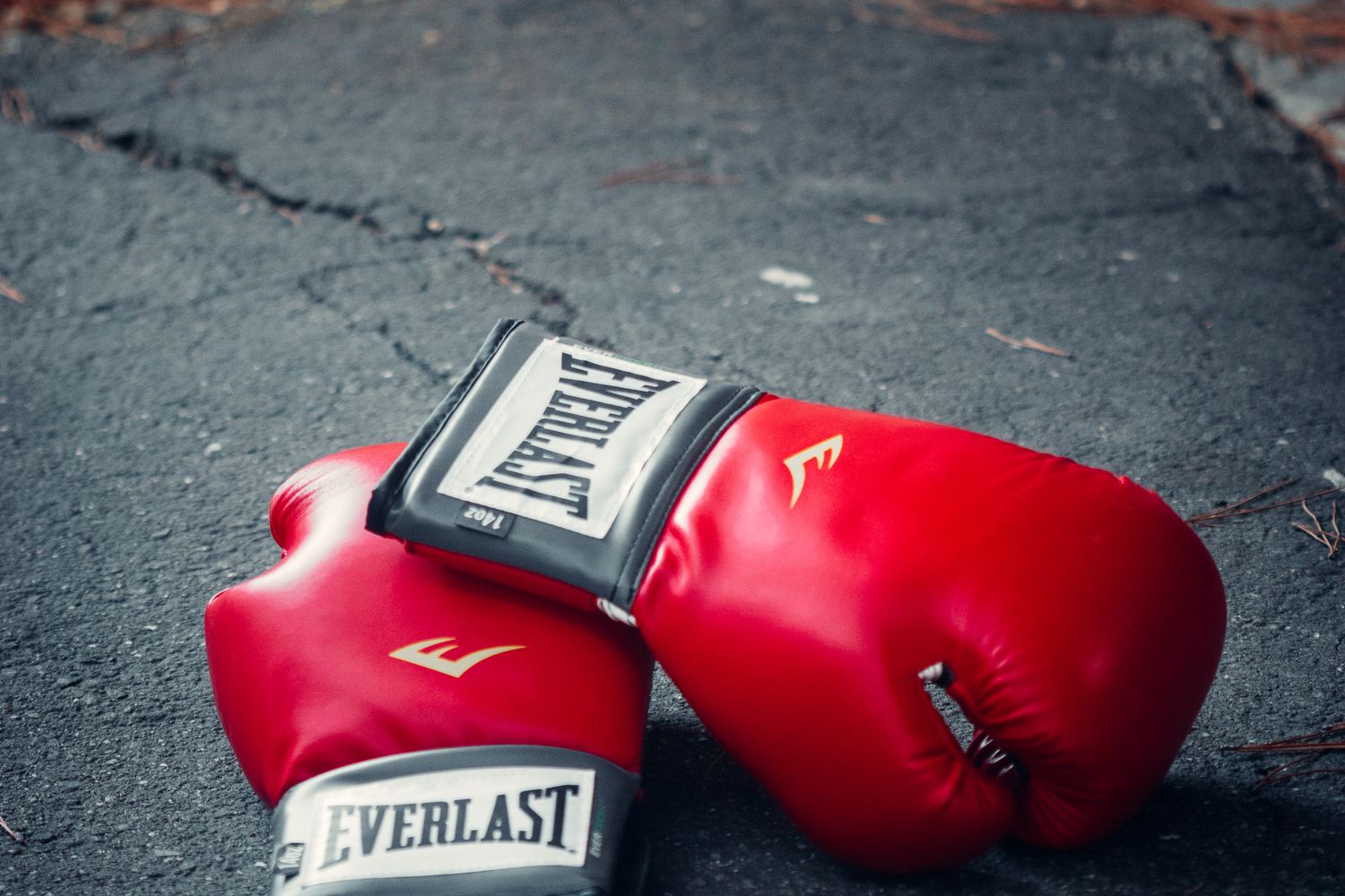 Guantes de boxeo Everlast