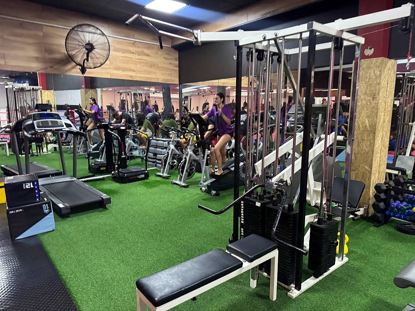 Zona de cardio y musculación de la sala de ABP Sport